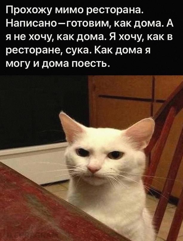 Прохожу мимо ресторана Написаноготовим как дома А я не хочу как дома Я хочу как в ресторане сука Как дома я могу и дома поесть