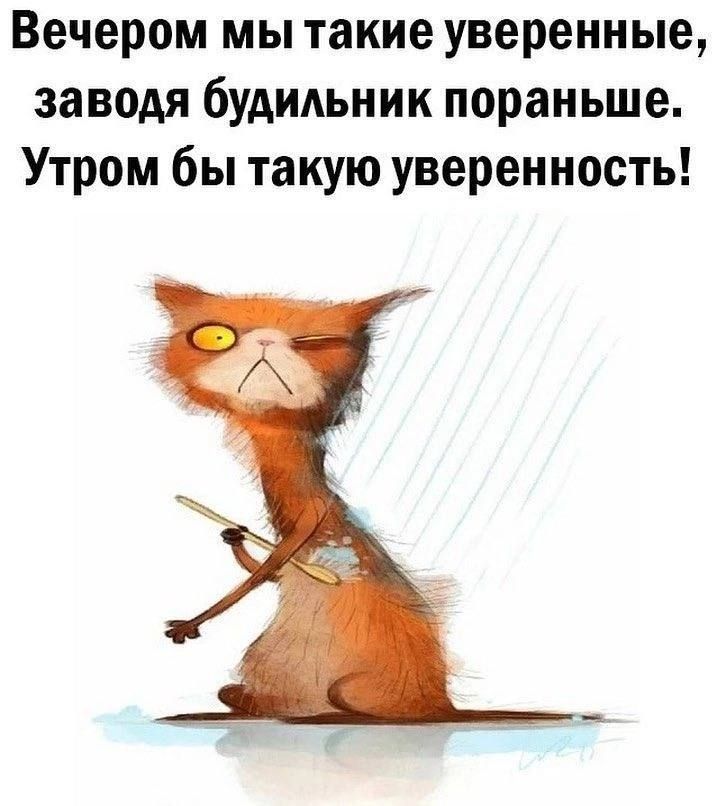 Вечером мы такие уверенные заводя будильник пораньше Утром бы такую уверенность