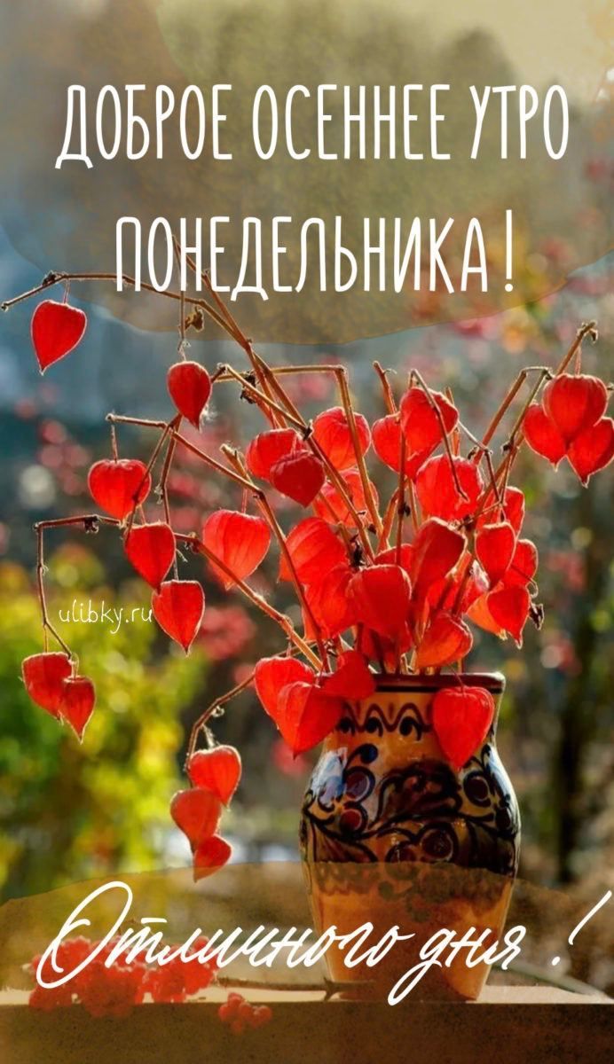 Довгогбс НЕ