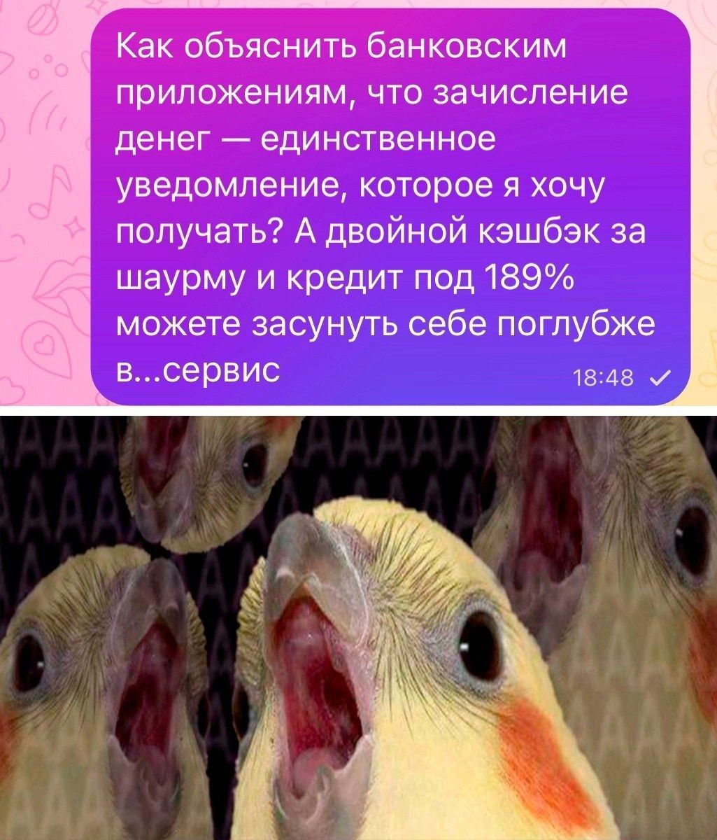Как объяснить банковским приложениям что зачисление денег единственное уведомление которое я хочу получать А двойной кэшбэк за шаурму и кредит под 189 можете засунуть себе поглубже всервис шщв