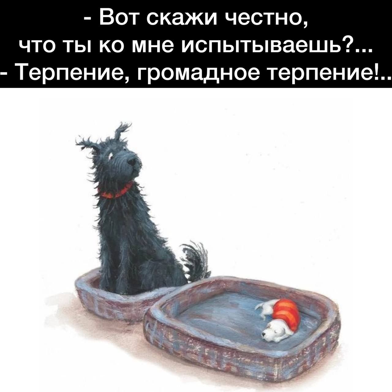 Вот скажи честно что ты ко мне испытываешь Терпение громадное терпение