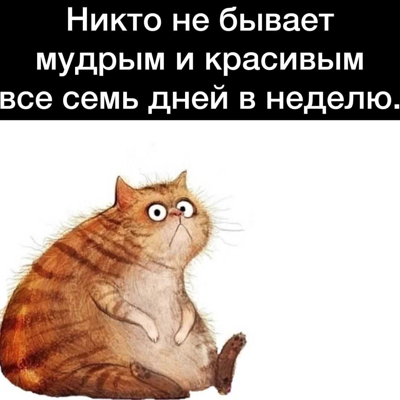 Никто не бывает мудрым и красивым се семь дней в неделю