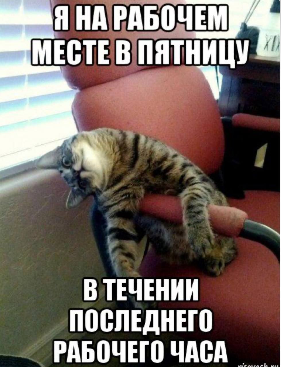 В ТЕЧЕНИИ ПШЗПЕДНЕЮ РАБОЧЕШ ЧАСА
