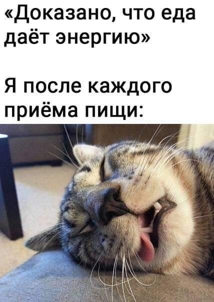 доказано что еда даёт энергию Я после каждого приёма пищи