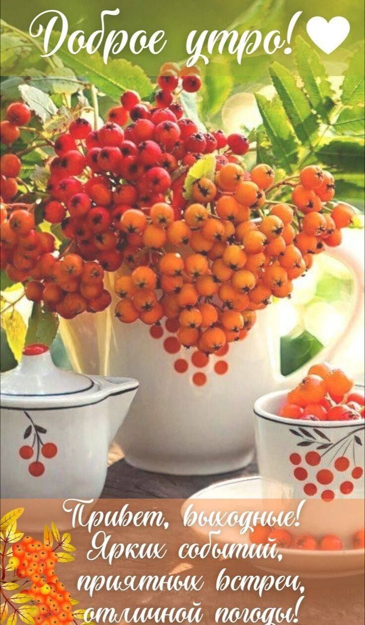 Оварее цтро а За ра н