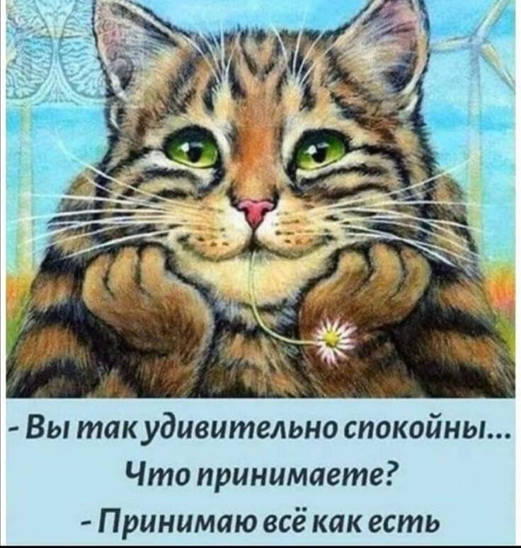 Вы так удивительно спокойны Что принимаете Принимаю всё как есть