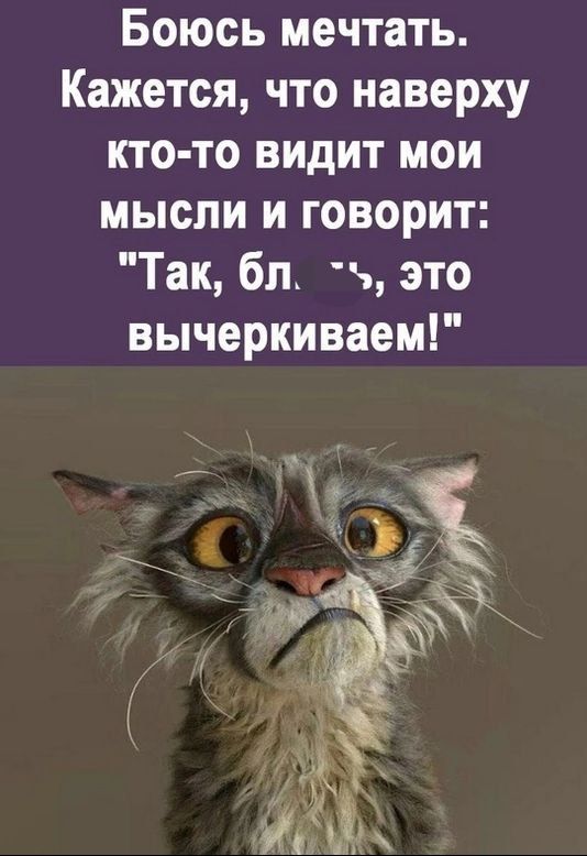 Боюсь мечтать Кажется что наверху кто то видит мои мысли и говорит Так бл это вычеркиваем