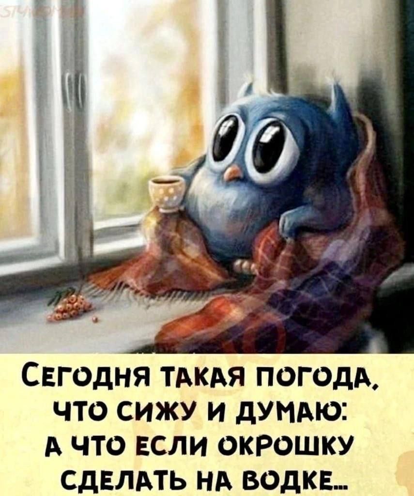 Сегодня ТАКАЯ погодА что сижу и дУНАЮ А что ЕСЛИ окрошку СДЕЛАТЬ НА водке