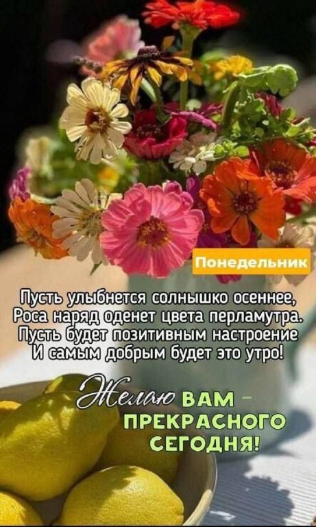 улыб с мк мази ШЁЩЕЫЮЩШЁЖЁЕШ