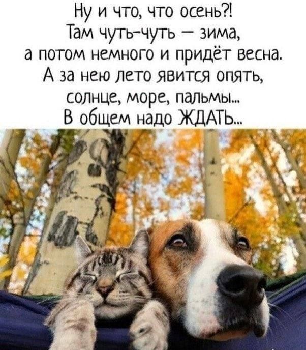Ну и что что осень Там чутьчуть зима а потом немного и придет весна А за нею лето явится опять солнце море пальмы В общем Ёд ЖДАТЬ _
