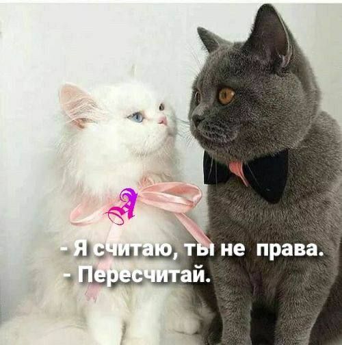 не права