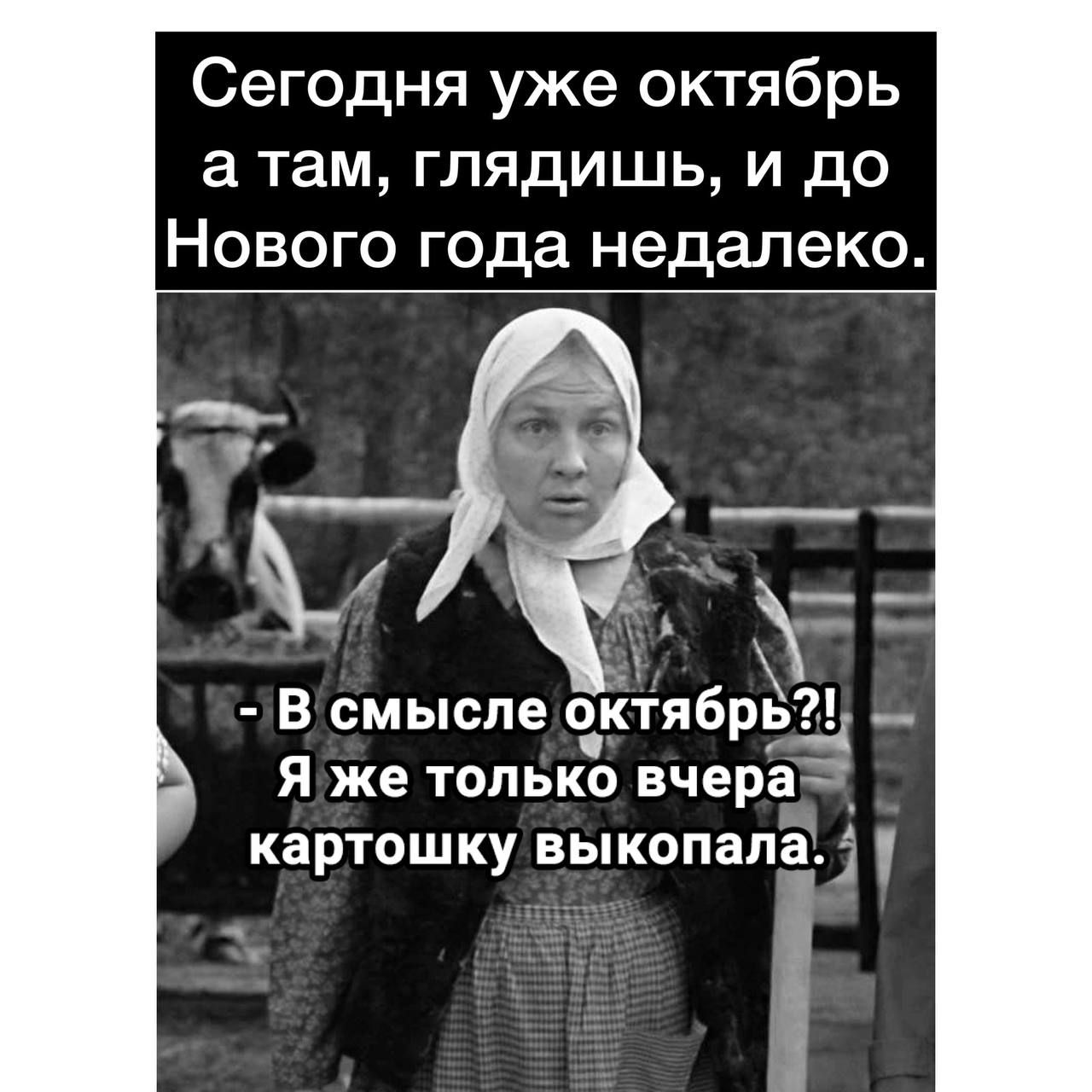 Сегодня уже октябрь а там глядишь и до Нового года недалеко В смысле о_ктябрьа __ Я же только вчера картошку выкопапа3 і
