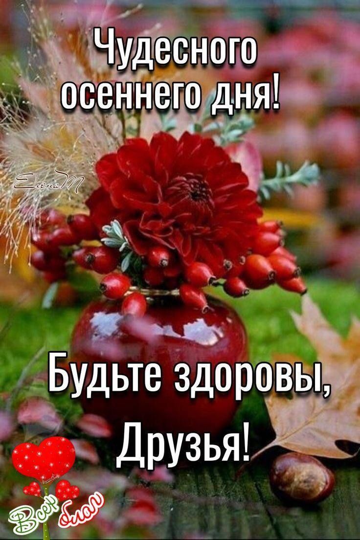 Б ВЫ удьте здоровы Друзья ы