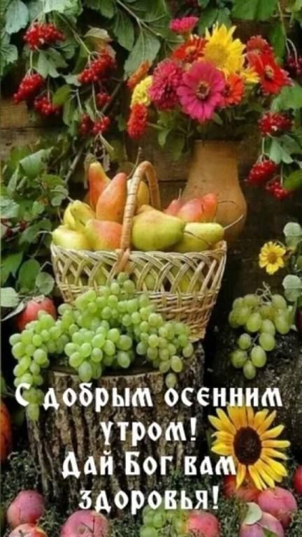 Чдобрбсещм Ё ычітр0 4 Мцьііогвшу Ч 989 Ё