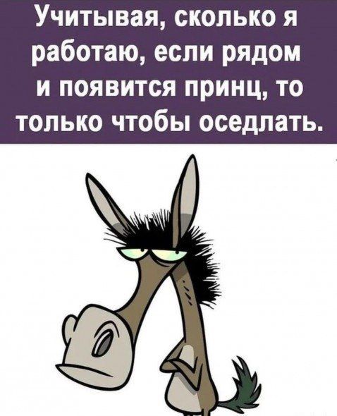 Учитывая сколько я работаю если рядом и появится принц то только чтобы оседлать