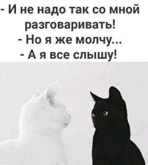 И не надо так со мной разговаривать Но я же молчу А я все слышу