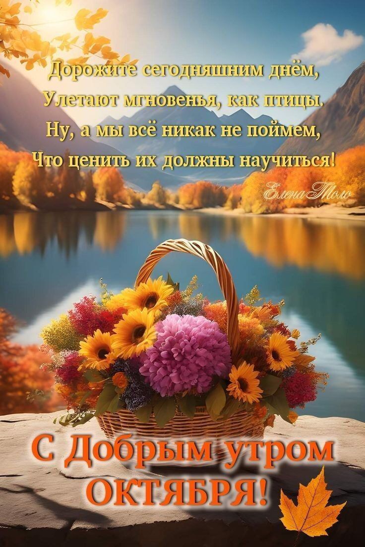 9 кц стон нкп пп даём