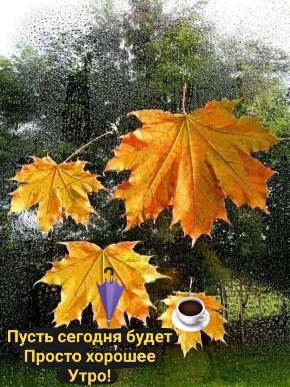 Пусть сегодніл будет Просто хорошее Утро