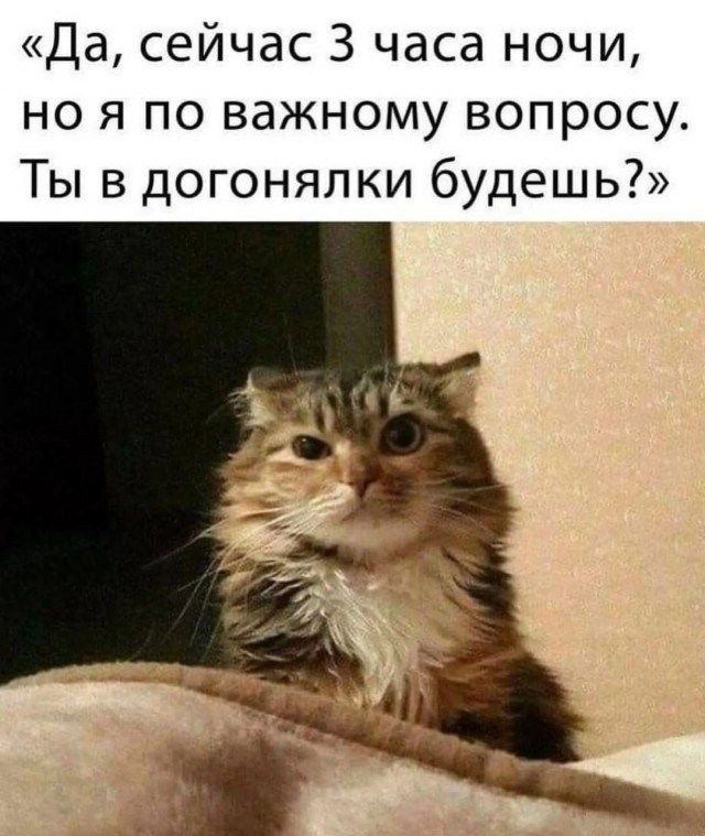 Да сейчас 3 часа ночи но я по важному вопросу Ты в догонялки будешь
