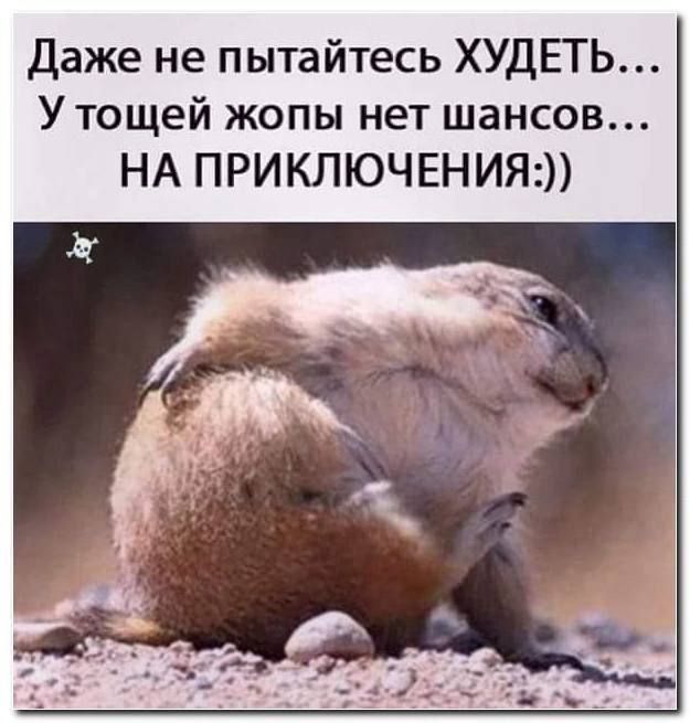 Даже не пытайтесь ХУДЕТЬ Утощей жопы нет шансов НА ПРИКЛЮЧЕНИЯ