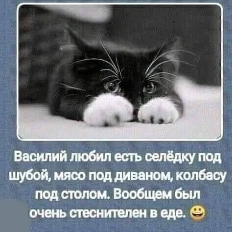 Василиилюбилеыъшщчпод поддивеиоцксу подешюм6ыл жьтштпшвще