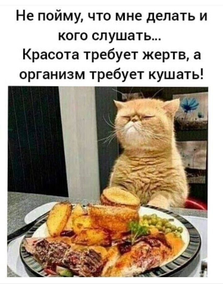 Не пойму что мне делать и кого слушать Красота требует жертв 3 организм требует кушать