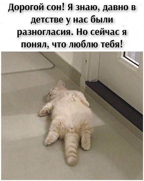 дорогой сон Я знаю давно в детстве у нас были разногласия Но сейчас я понял что люблю тебя
