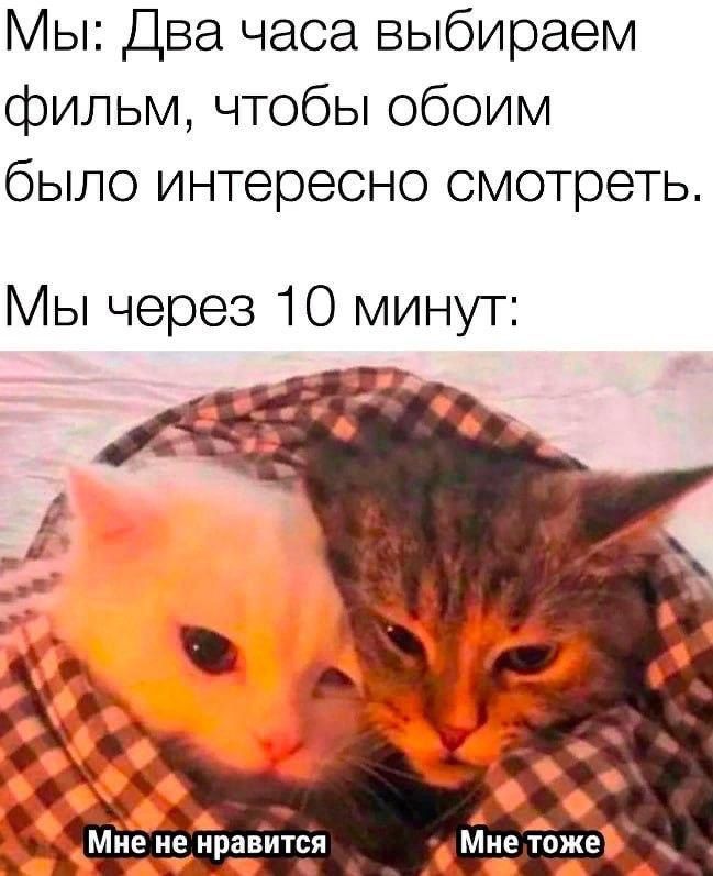 Мы Два часа выбираем фильм чтобы обоим было интересно смотреть Мы через 10 минут