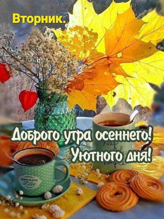 Вторник ч Ъ осеннероЁ ютногоЖня оврогогутрз