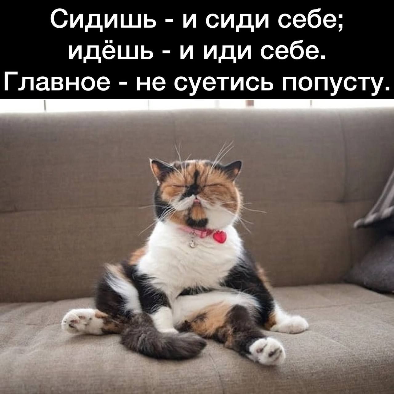 Сидишь и сиди себе идёшь и иди себе Главное не суетись попусту