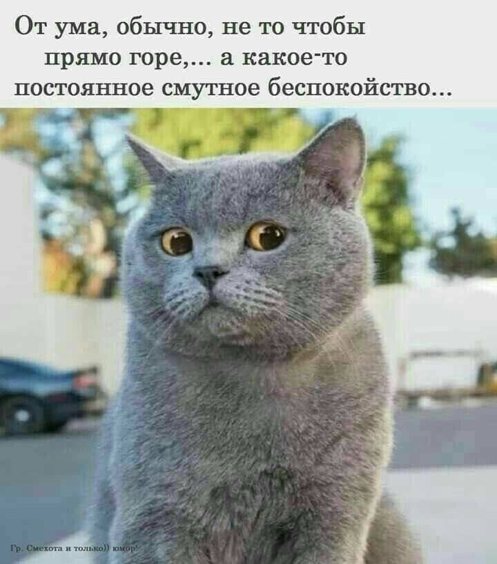 От ума обычно не то чтобы прямо горе в какое то постоянное смутное беспокойство