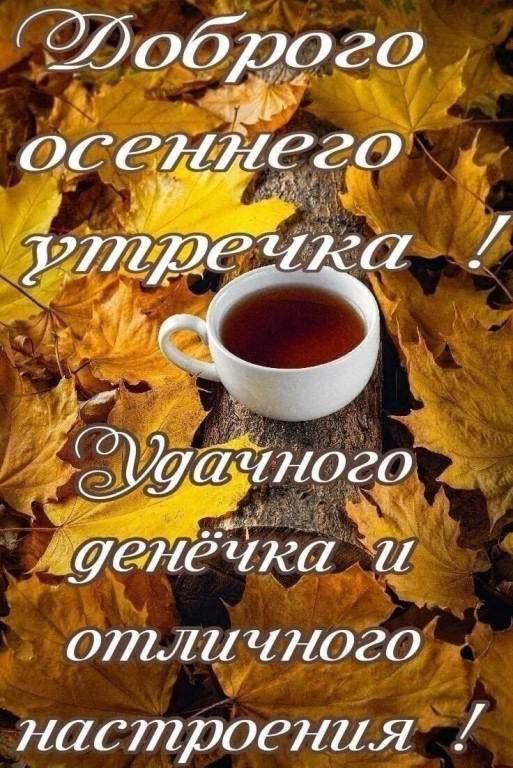 об9го 0687155880 утречка С уачного донецка отличного настроения