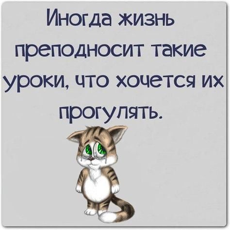 Иногда жизнь преподносит такие уроки что хочется их прогулять