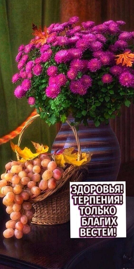 КО Е ТЕИ ТОП ВЕ и Х И ЕО П Р П Е В Т