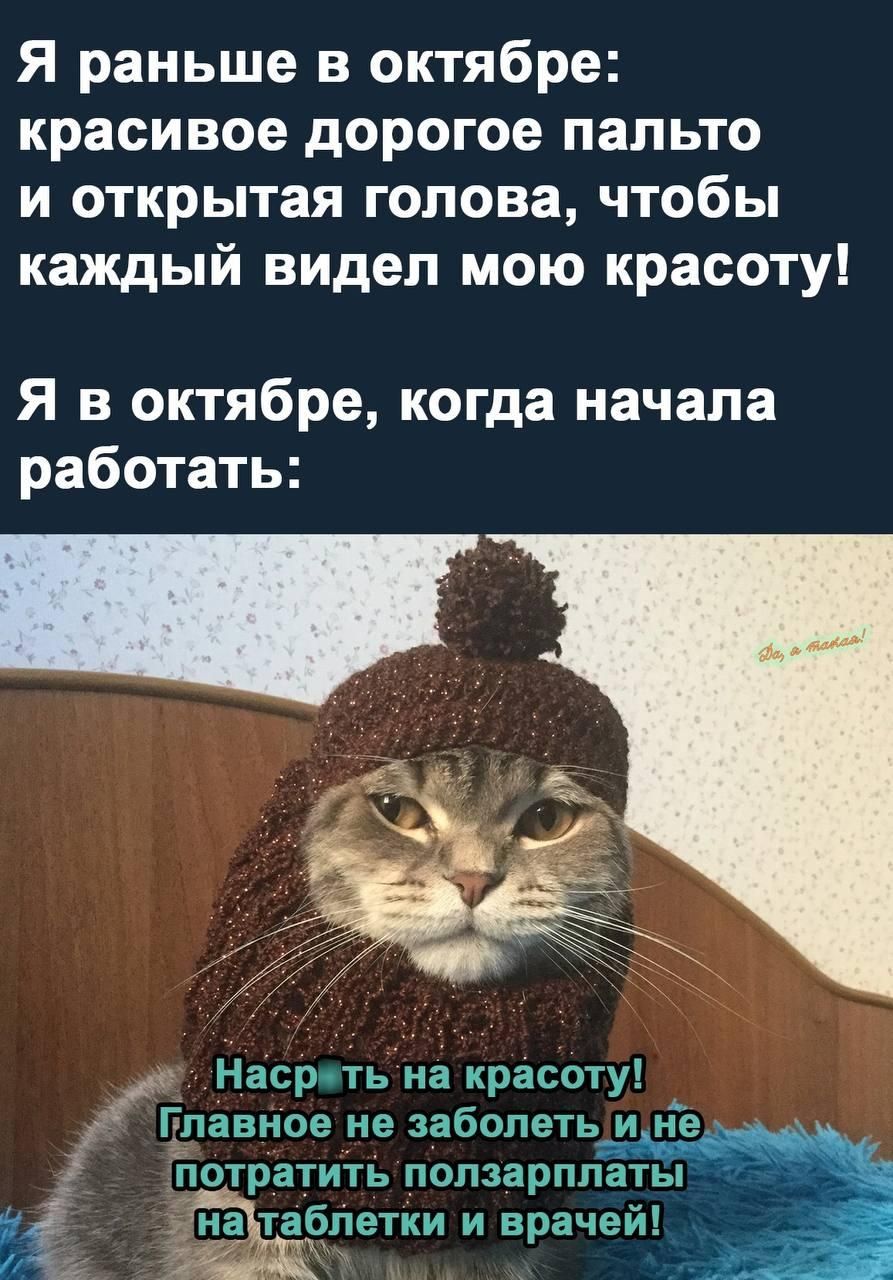 Я раньше в октябре красивое дорогое пальто и открытая голова чтобы каждый видеп мою красоту Я в октябре когда начала работать _ Наср ть иа красоту _ Главное не заболеть и не потратить ползарппаты у на таблетки и врачей ть с