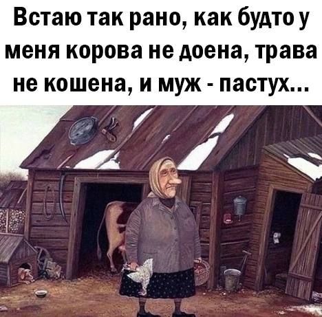 Встаю так рано как будто у меня корова не доена трава не кошена и муж пастух