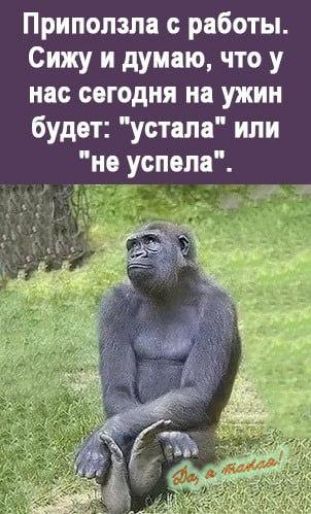 Припопзла работы Сижу и думаю что у нас сегодня на ужин будет устала или не успела