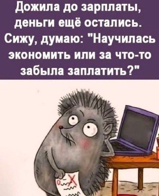 Дожипа до зарплаты деньги ещё остались Сижу думаю Научилась экономить или за что то забыла заплатить