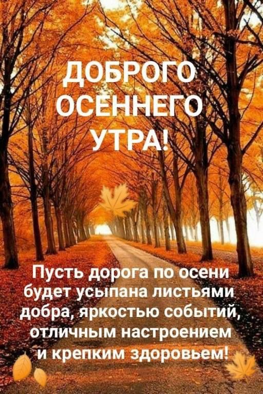 Ё до Рагод ос ннвго УТРА Ъ Пусть дорога по осени будет усыпана листьями добра яркостью событий отлиЧным настроением и крепким здоровьем