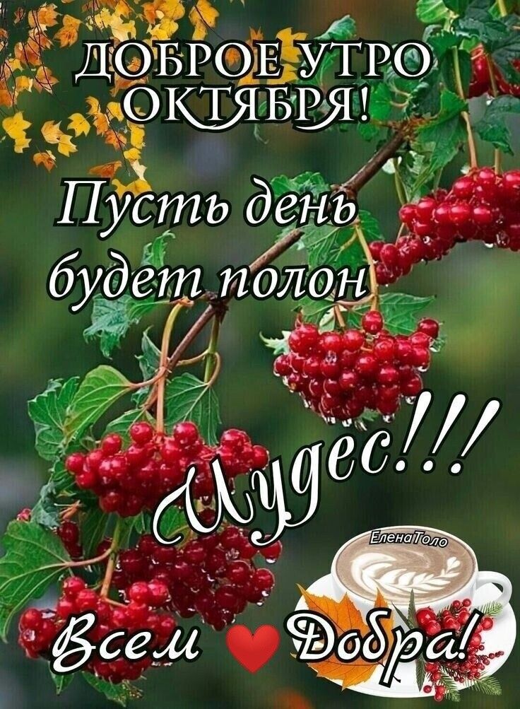др Б тж Ч ДБРЕЁ тред КЯЫЫЙ