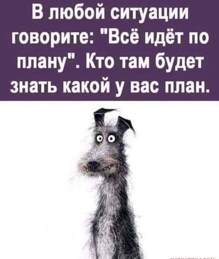 В любой ситуации говорите Всё идёт по плану Кто там будет знать какой у вас план