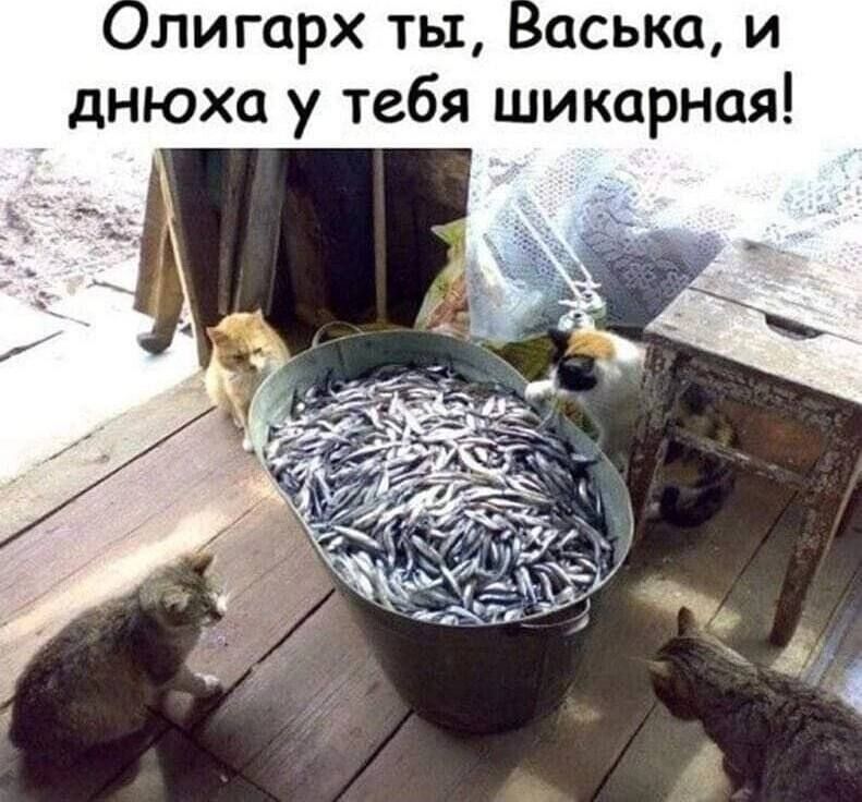 Олигарх ты аська и днюха у тебя шикарная