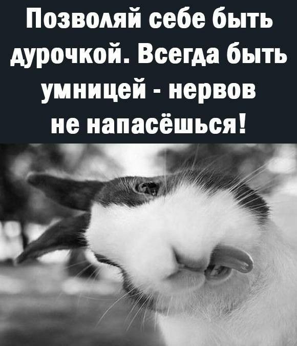 Позводяй себе быть дурацкой Всегда быть уиницей нервов не иапасёшься __