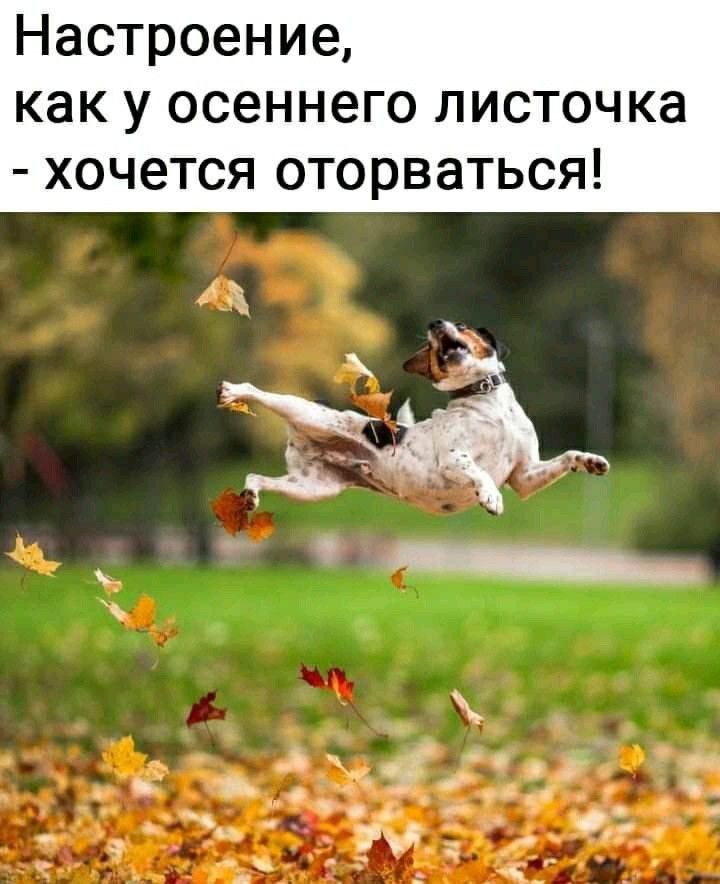 Настроение как у осеннего листочка хочется оторваться