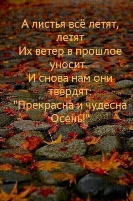 Мангщ А листья всё лёТят летят 1 Их ветецпрршлое Судёдутаёі 111 снова идём они