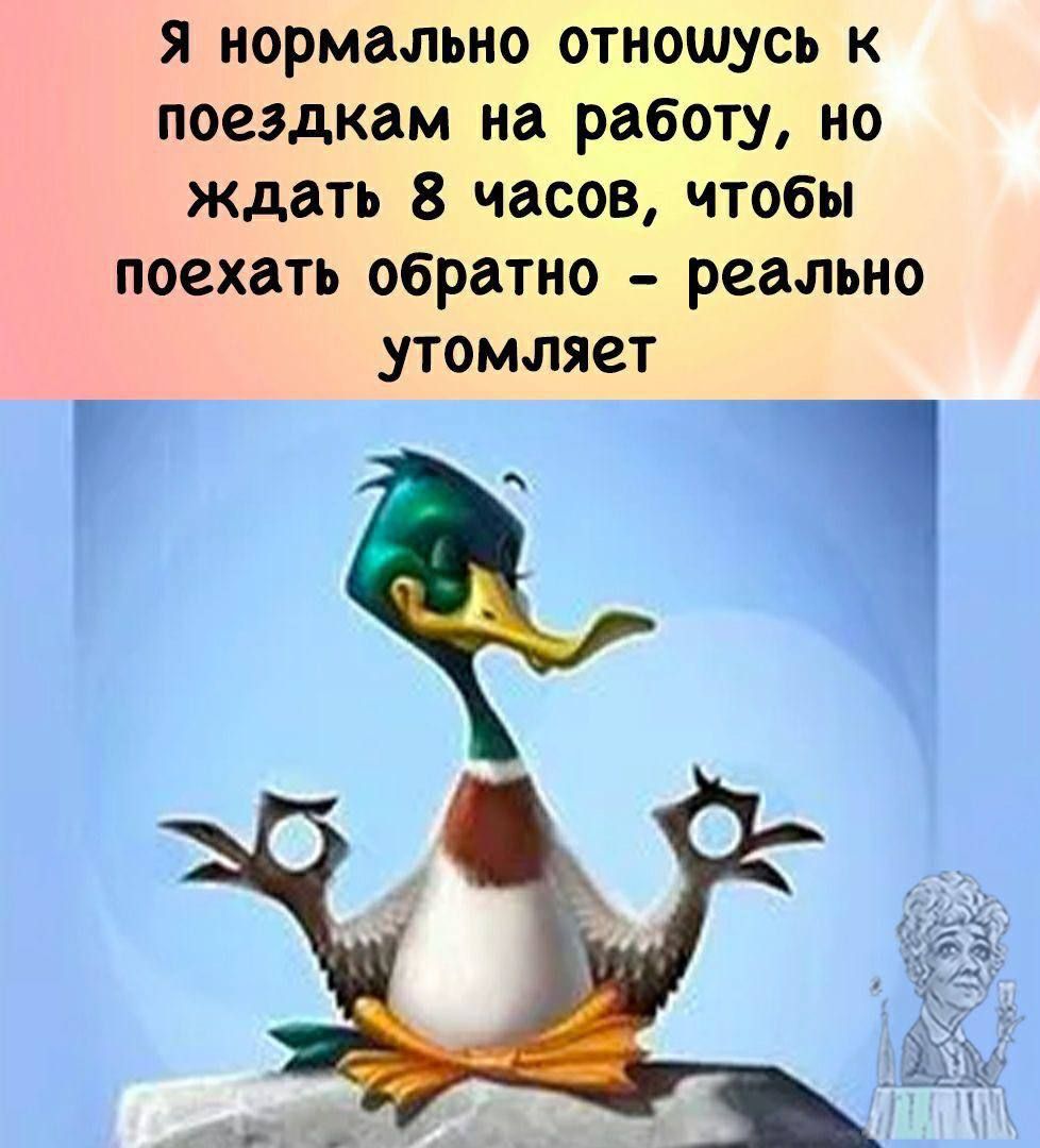 я нормально отношусь к поездкам на работу но ждать 8 часов чтобы поехать обратно реально утомляет 1