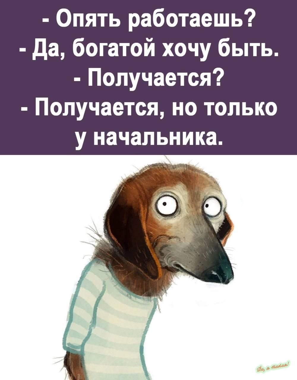 Опять работаешь да богатой хочу быть Получается Получается но только у начальника