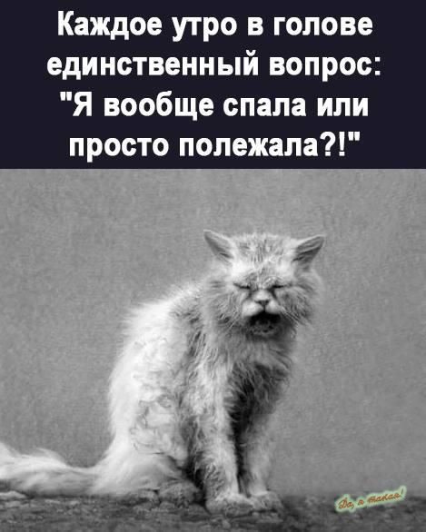 Каждое утро в голове единственный вопрос Я вообще спала или просто полежала