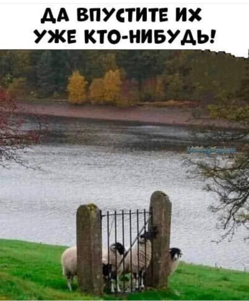 АА ВПУСТИТЕ ИХ УЖЕ КТО НИБУДЬ