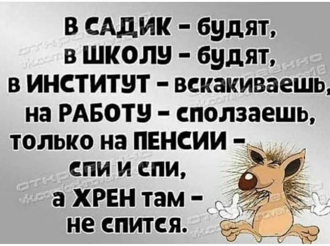 В или будят в школу будят в институт вскакиваешь на РАБОТ9 сползаешь только на пвнсии спи и спи а ХРЕН там не СПИТСЯ